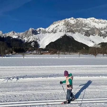 Bauernhof Helpferer 公寓 拉姆绍达赫斯坦