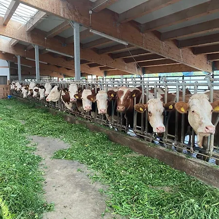 Apartman Bauernhof Helpferer Ramsau am Dachstein