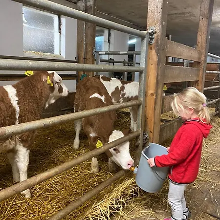 Bauernhof Helpferer Lägenhet Ramsau am Dachstein
