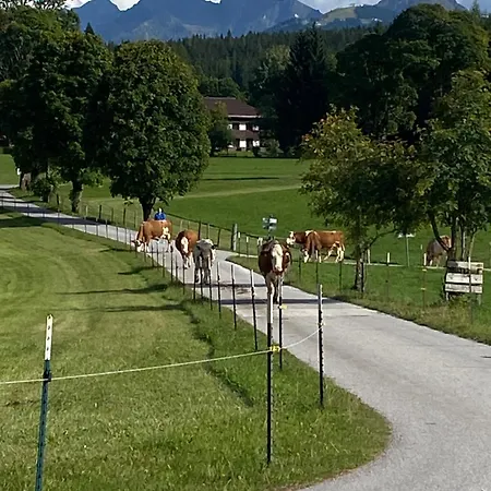 Apartman Bauernhof Helpferer Ramsau am Dachstein