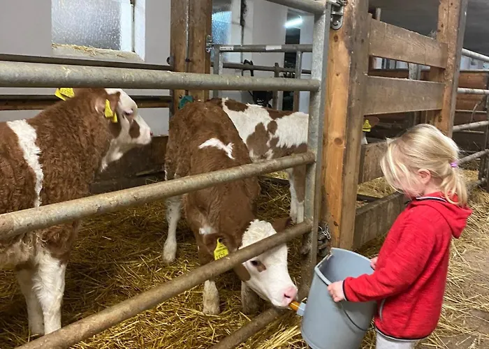 Bauernhof Helpferer شقة رامساو أم داتشستين