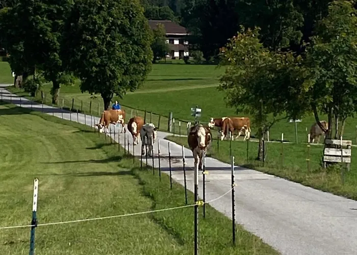 شقة Bauernhof Helpferer رامساو أم داتشستين